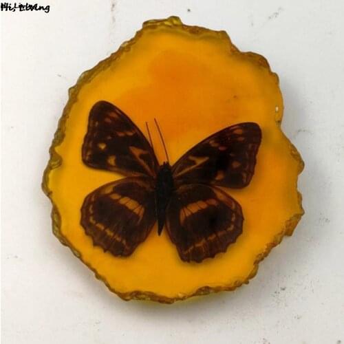 Collection Chinese Beautiful Amber Dragonfly Butterfly Crab Fossil Insects Manual Polishing Exquisite Gift Home Crafts Decor