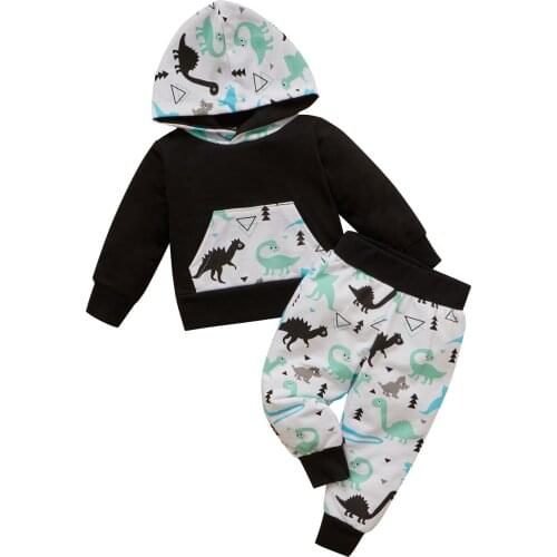 Newborn Toddler Baby Girls Boys Clothes Infant Autumn Fall Set Cotton Dinosaur Print Hooded Top Casual Pants Spring Outfits Suit