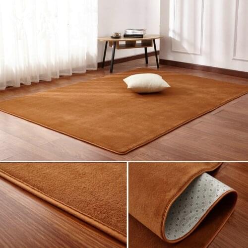 Free shipping thicken Coral velvet carpet living room floor mat coffee table mat bedroom blanket bed rug floor mat door cushion