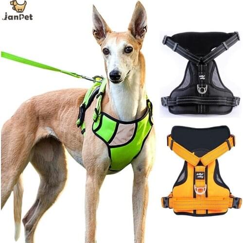 Dog Harness Latest style Reflective chest strap Nylon Traction rope Large dog harness Waterproof fabric chest strap