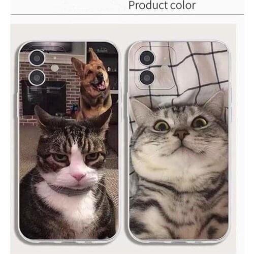 New Pet Cute Cartnoon Cat Phone Case for iPhone 11 12 mini pro XS MAX 8 7 6 6S Plus X 5S SE 2020 XR