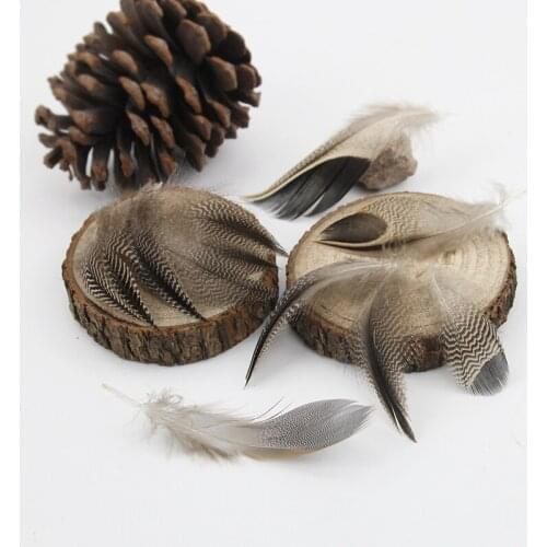 2-4 Inch(5-10 cm)Wholesale Small Size Curved Dark Color Natural Duck Feather