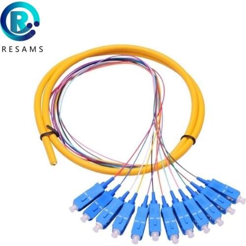 Resams 12 Core SC UPC Transmission Stability Low Insertion Loss Professional Manufacturer Branch Fiber Optic Patch Cord