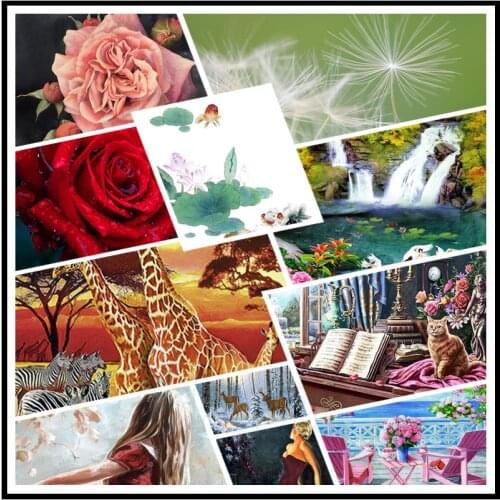 Diy Diamond Painting Red Rose White Dandelion Cartoon Version Panda Doctor Fashion Home Decoration Living Room Bedroom Poster