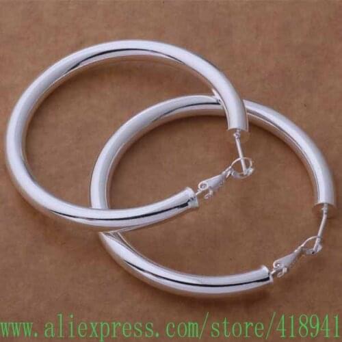 Free shipping silver plated earrings , silver plated fashion jewelry , popular ring /etjankqa bulaklsa AE622