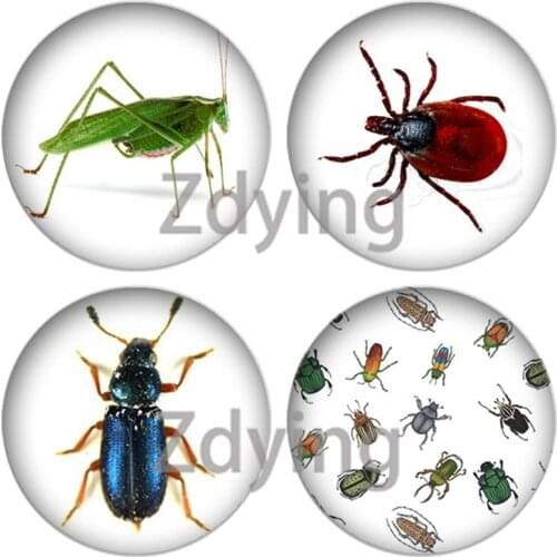 Zdying 10pcs New Insect Little Bugs Round Glass Cabochon Art Picture Photo Dome DIY Pendant Charm For Earrings Jewelry Findings