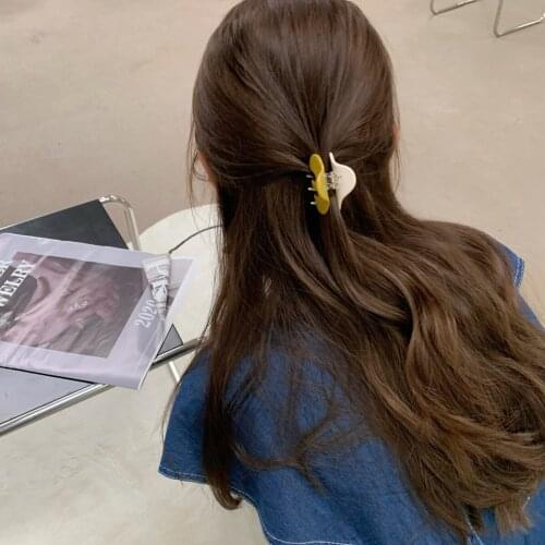 Korean Retro Geometric Two-color Gripping Clip Version of INS Wind Acetate Hitting Color Gripping Clip for Women Hair Claws