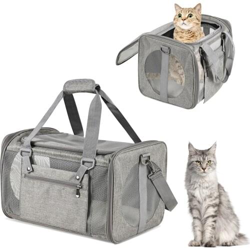 PATYOCAT Carrying Bags For Cats