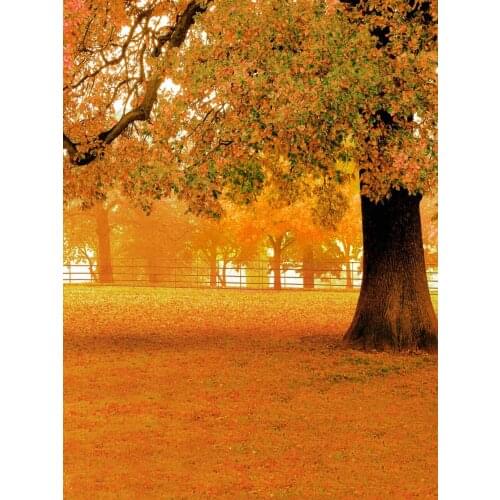 Life Magic Box background for photo studio Big tree vinyl backdrops for photography backdrop S-1979