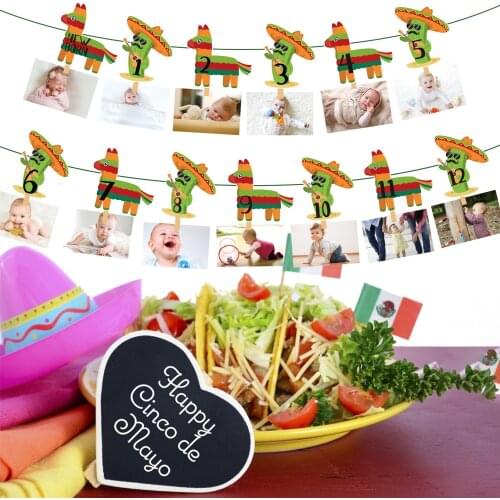Mexico Party Decorations Cartoon Cactus Photo Display Hanging Banner Cinco de Mayo Theme Kid Happy Birthday Party Supplies