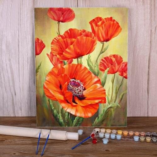 Poppy Flowers DIY Painting By Numbers Set Acrylic Paints 50*70 Canvas Painting Home Decor For Wholesale
