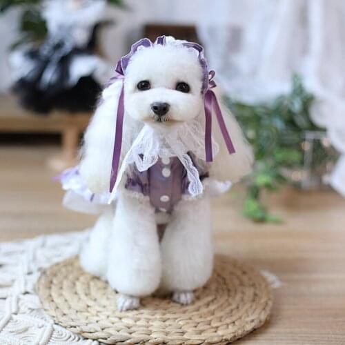 Cat Dog Dress Princess Skirt Chihuahua Maltese Yorkshire Pomeranian Shih Tzu Bichon Poodle Pomeranian Dog Clothes Puppy Clothing