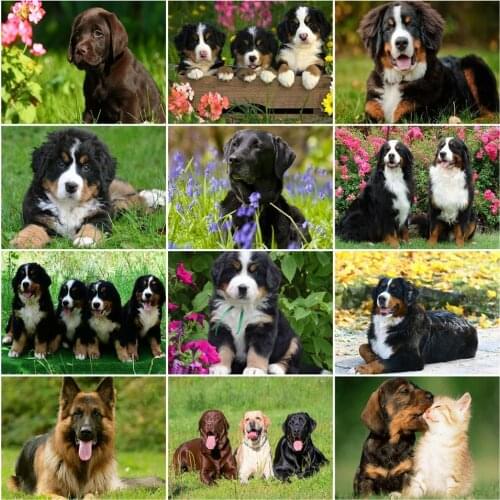 AZQSD Adult Coloring By Numbers Animal Handpainted Gift Paint By Number Canvas Painting Kits Dog Acrylic Paint Home Decoration