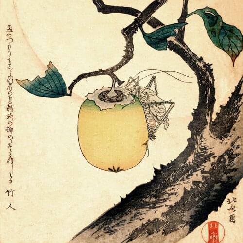 Vintage poster scenery canvas painting picture Japan traditional art Moon Persimmon and Grasshopper 1807 By Katsushika Hokusai