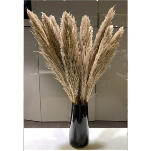 Pampas çim dekor bitkiler ev düğün dekor kurutulmuş çiçekler demet tüy çiçekler doğal phragmites uzun