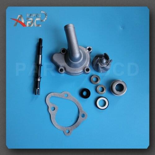 250CC CH250 GY6 250CC Water Pump Assy For GY6 250CC SCOOTER MOPED GO KART for KAZUMA 250CC ATV Quad ATV