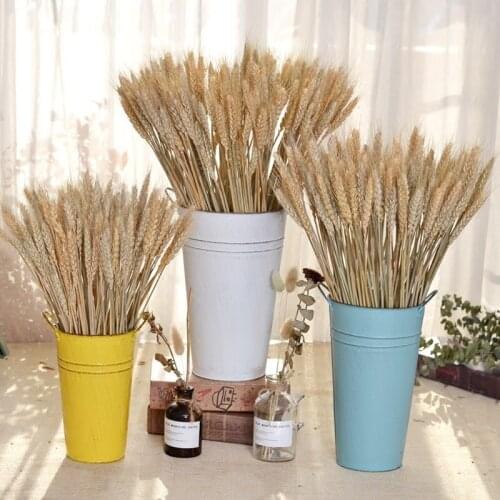 Rabbit Tail Grass Real Plants Wheat Lagurus Ovatus Natural Dry Flowers Colorful Wedding Home Easter Christmas Decorations Flores