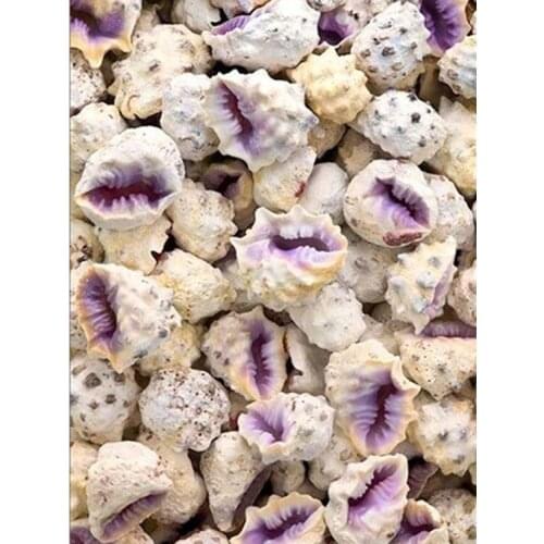 Full Square/Round Diamond Painting Kits Conch Shell Diamond Embroidery Mosaic Landscape Decoration For Home