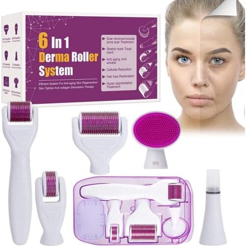 540 Derma Roller Pure 6 IN 1 Micro Needling Kit Eliminate Acne And Reduce Wrinkles Skin Care System Beauty Makeup Tools For Face