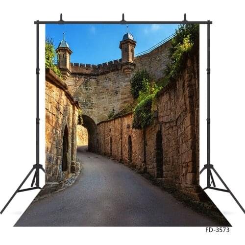 Old Castles Pathway Photo Backdrops for Photo Studio Vinyl Cloth Backgrounds Photography Props for Children Portrait Photobooth