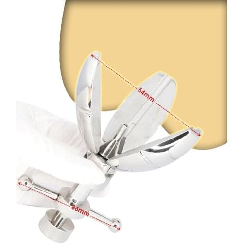 Stainless Steel Ultimate Asslock Anal Plug With Lock Expanding Ass,asslock Butt Plug Big Buttplug Ass Trainer butt plug