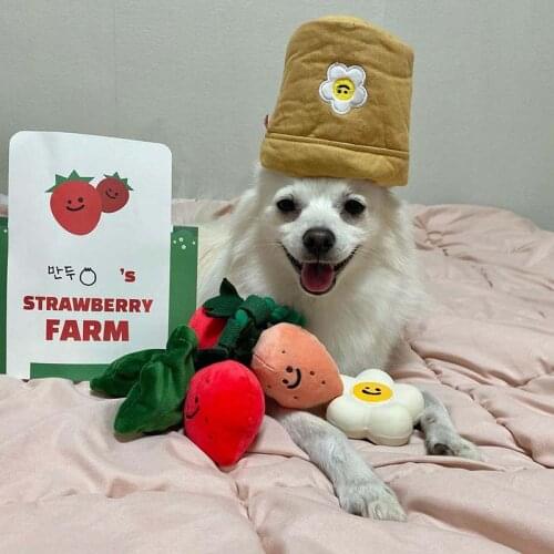 HSWLL Products For Dogs