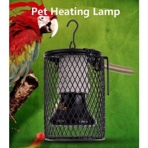 LightenMart Feeders And Drinkers