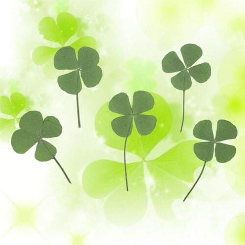10Pcs Dried Leaf Clover UV Resin Decor Nail Art Epoxy Mold DIY Filling Jewelry