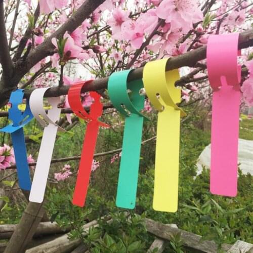 100pcs Plant Tags Garden Nursery Label hanging Tree Markers Seedling Plant Fruit Trees Signs Prompt Card Classification Tool