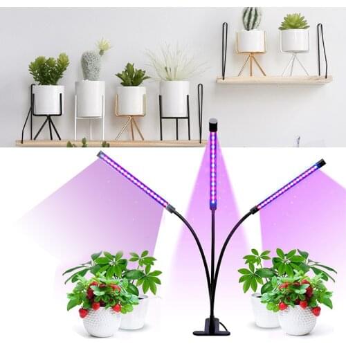 SEAMETAL LED Lightening
