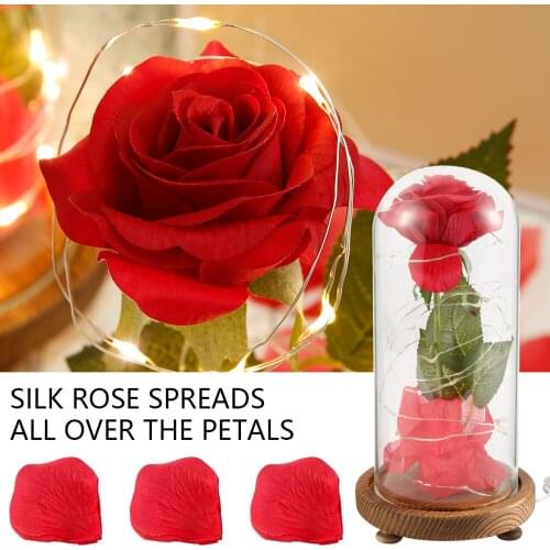 Valentines Day Rose gift USB plug in use In A Glass Dome With LED Light Wooden Base Rose Flower In Glass for girlfriend Gift
