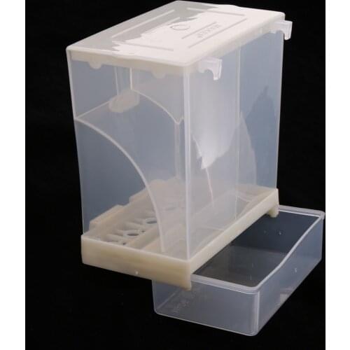 Bird Feeder Parrot Integrated Automatic Box for Small to Large Birds, White