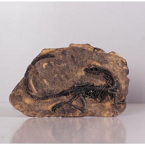 Moquerry dinosaur fossil resin statue wall hanging Jurassic dinosaur skull sculpture faux taxidermy Home decoration accessories