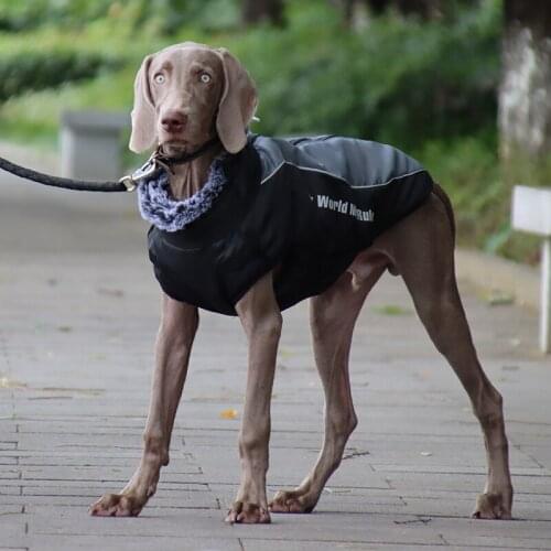 Large Dog Jacket Fur Collar Winter Pet Clothes With Detachable Harness Reflective Big Dog Clothing Waterproof Pet Vest Jacket