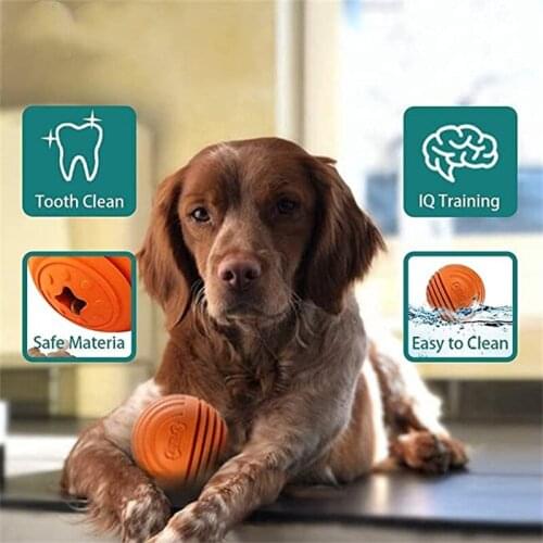 HONEYCARE Products For Dogs