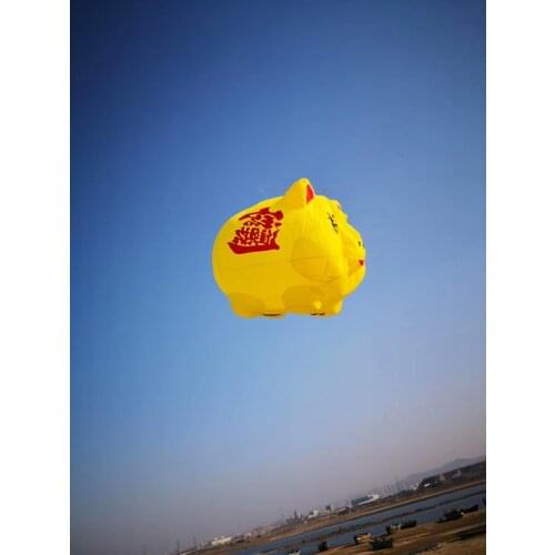 Dragon 3d shark cerf volant vlieger kites for adults kite flying cometas para adultos windsock soft kite flying ripstop koi fish