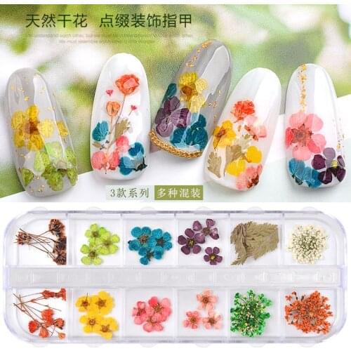 New 3D Nail Decoration Natural Flower Leaf Sticker 12 Color Dried Flower Boxed 24 DIY Nail Art Design Nail Art Decorations