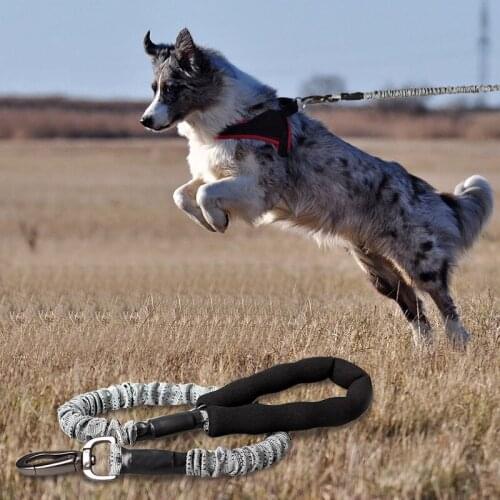 Long retractable dog leash