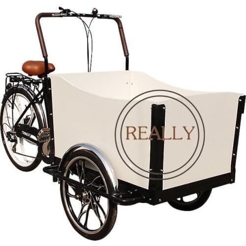 Electric Adult Tricycle Cargo Bike Family Aluminium Frame 6 Gear Speeds Drift Trike for Grocery Shopping and Children Transport