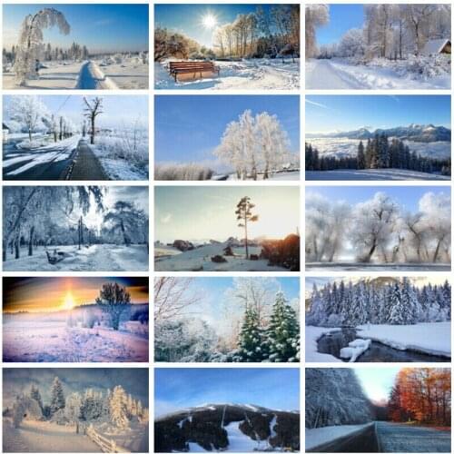 Forest Background Winter Scene Photo Booth Backdrop Customized Decorative Poster for Photo Studio Christmas Party Supplies