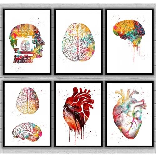 Brain Ear Hair Head Heart Lungs Mouth Muscle Spine Spine with Brain Teeth Tooth Anatomical Medical And Science Poster