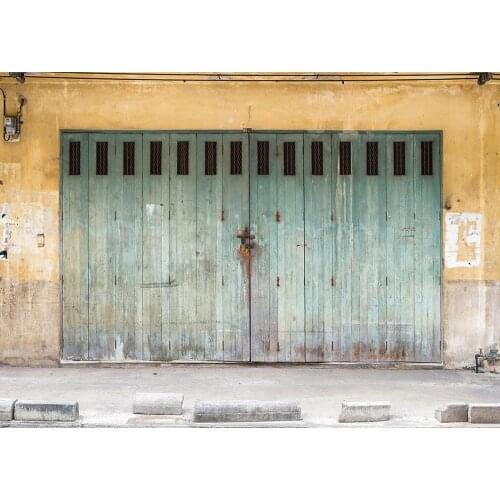 Motted Wall Door Photographic Backdrop Computer Printed Background for Children Baby Portrait Pets Toy Photocall Photo Studio