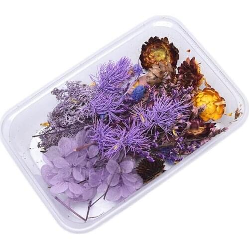 Real Mix Dried Flowers Plant For Resin Jewellery Dry Plants Pressed Flowers Making Craft DIY Photo Frame Accessories