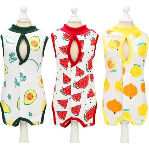 Fruit Cotton Kitten Vest Physiological Cat Clothes Female Cat Sanitary Jumpsuits Prevent Surgery Wear Anti Pet Licking Wounds