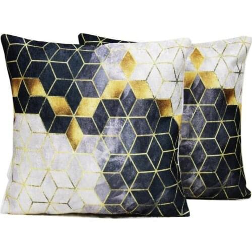 İllusion 2 Li Velvet Pillow decorate Case Black