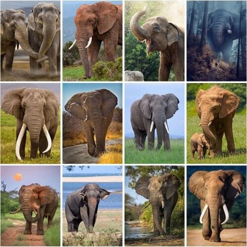 Diy Elephant 5D Diamond Painting Full Square Drill Cross Stitch Resin Animal Diamond Embroidery Mosaic Home Decor Wall Art Gift