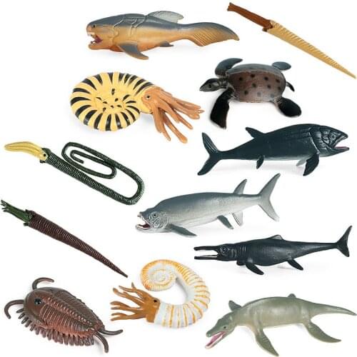 Children solid simulation prehistoric marine mini animal model clover ammonite fish dragon Deng fish toy decoration