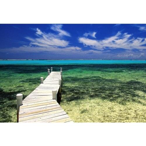 Diamond Painting Animal Rhinestones Pictures Diamond Embroidery Landscape Diamond Mosaic Christmas Decorations