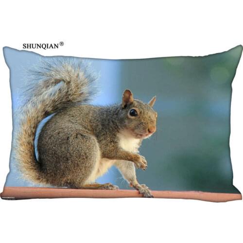 New arrival Custom Squirrel Pillowcase 45x35cm(One Side) Rectang Zipper Print Throw Pillowcase Cover