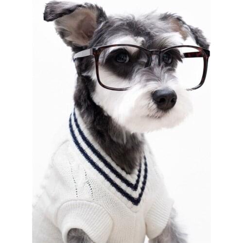 Schnauzer Diamond Embroidery sale 5d diy animal Diamond Painting cute pet dog full Square/round Drills Mosaic home Decoration